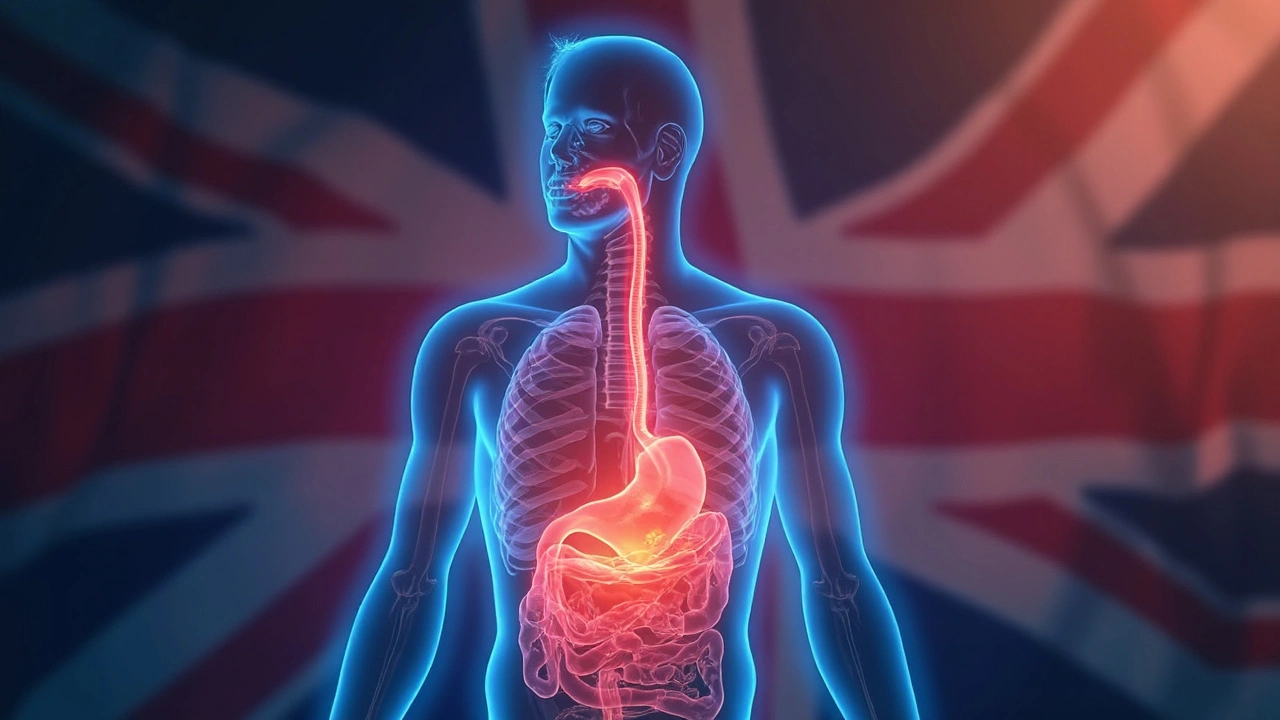 Using Nexium: Dosage, Best Timing, and Practical Tips