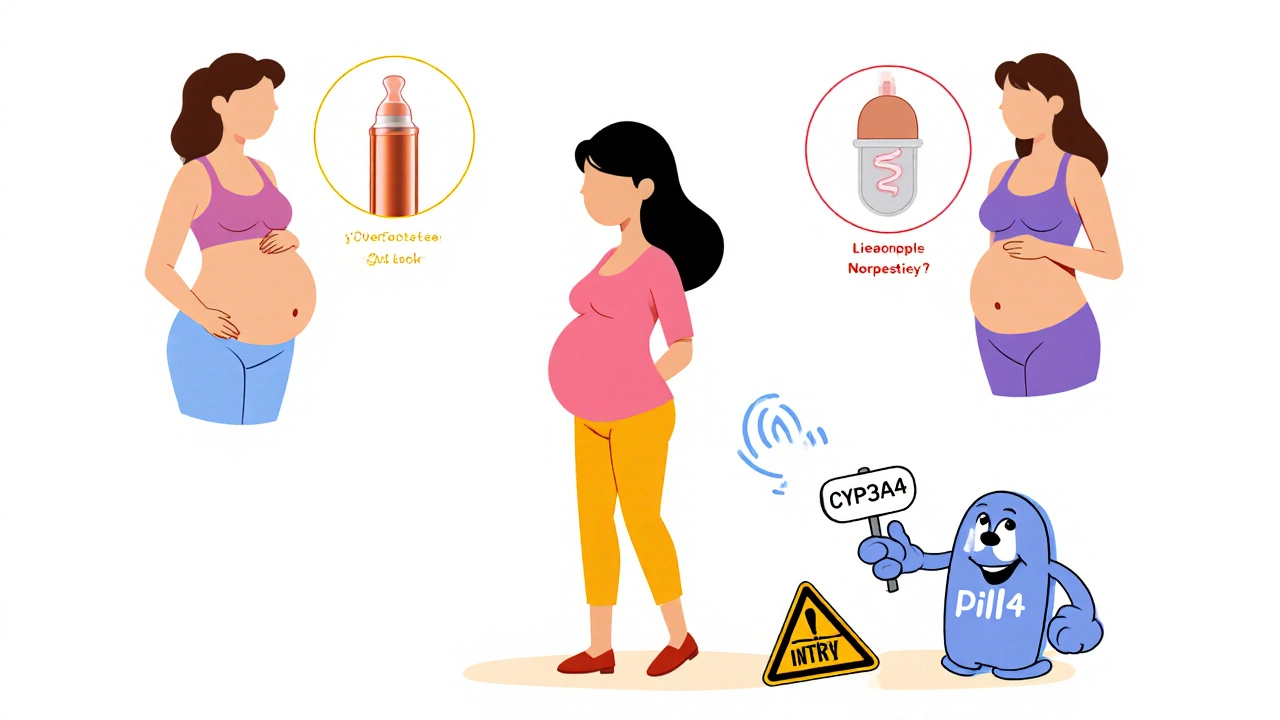 Pregnant figure with IUD, implant, and pill showing contraceptive interactions.